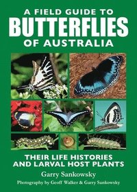 bokomslag A Field Guide to Butterflies of Australia