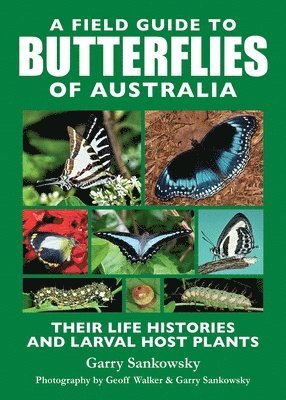 Garry Sankowsky, Geoff Walker - Field Guide to Butterflies of Australia, Häftad