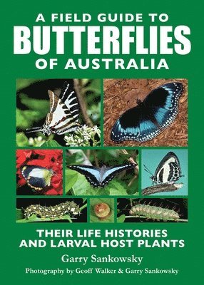 A Field Guide to Butterflies of Australia 1