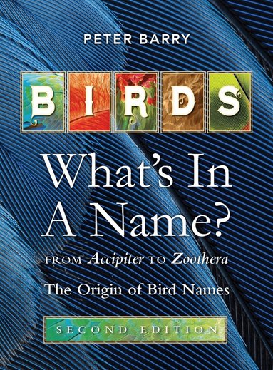 Peter Barry - Birds: What's in a Name, Häftad