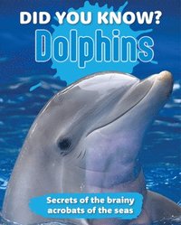 bokomslag Did You Know? Dolphins
