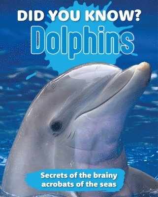 Did You Know? Dolphins 1