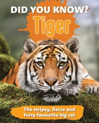 bokomslag Did You Know Tiger?
