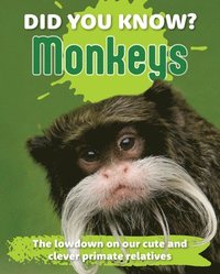 bokomslag Did You Know? Monkeys