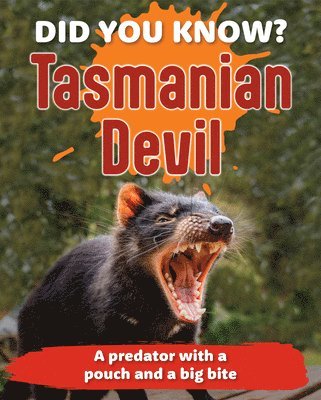 Did You Know? Tasmanian Devil 1