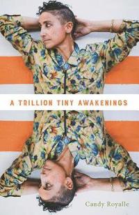 bokomslag A Trillion Tiny Awakenings