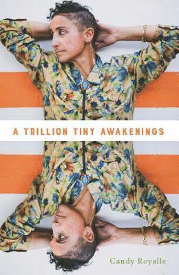 bokomslag A Trillion Tiny Awakenings