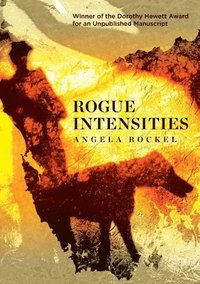 bokomslag Rogue Intensities
