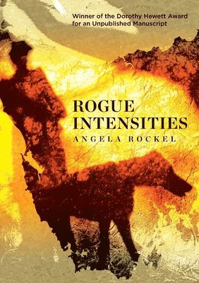 bokomslag Rogue Intensities