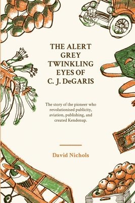 David Nichols - Alert Grey Twinkling Eyes of C. J. DeGaris, Häftad