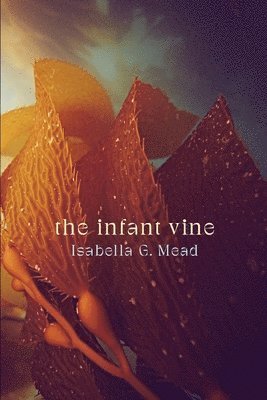 bokomslag Infant Vine