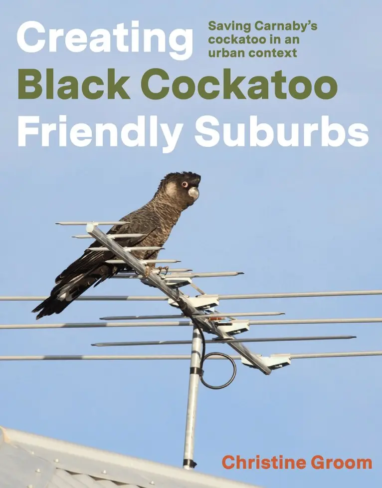 Christine Groom - Creating Black Cockatoo Friendly Suburbs, Häftad. Tillgänglighet: Lägg i varukorg