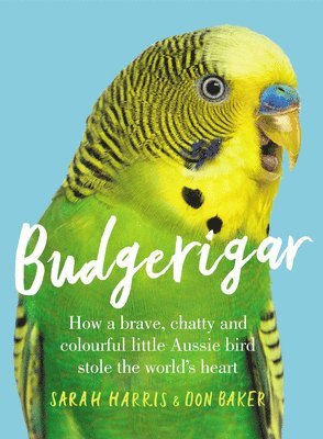 bokomslag Budgerigar