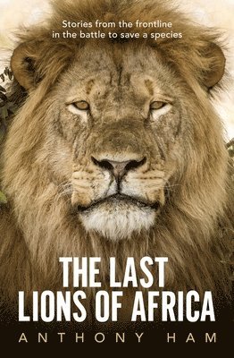 Anthony Ham - Last Lions of Africa, Häftad