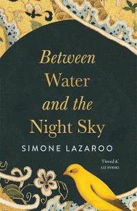bokomslag Between Water and the Night Sky