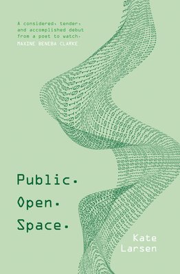 Public. Open. Space. 1