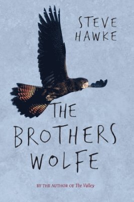 bokomslag Brothers Wolfe