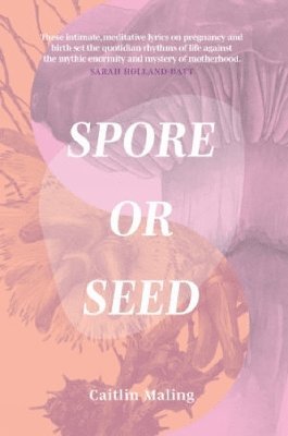 Spore or Seed 1