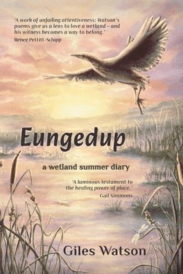 bokomslag Eungedup: A Wetland Summer Diary