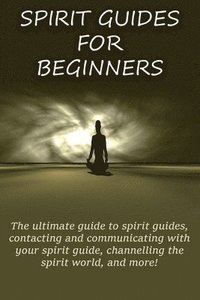 bokomslag Spirit Guides for Beginners