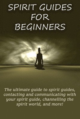 Spirit Guides for Beginners 1