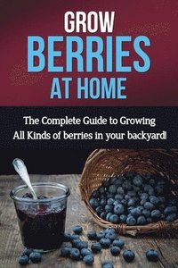 bokomslag Grow Berries At Home