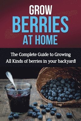 Grow Berries At Home 1