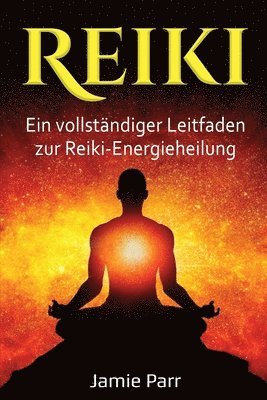 bokomslag Reiki