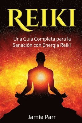 bokomslag Reiki