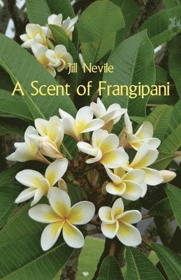 A Scent of Frangipani 1