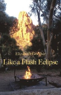 bokomslag Like a Flash Eclipse
