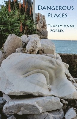 Tracey-Anne Forbes - Dangerous Places, Häftad