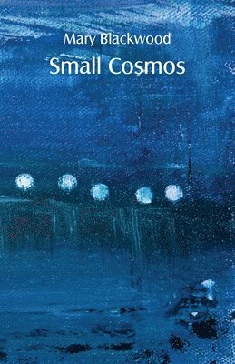 Small Cosmos 1