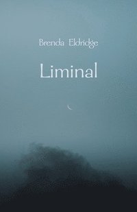 bokomslag Liminal