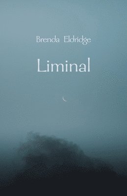 bokomslag Liminal