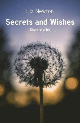 bokomslag Secrets and Wishes