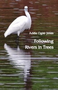bokomslag Following Rivers in Trees
