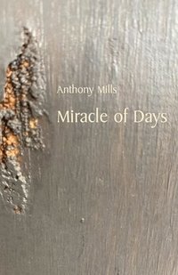 bokomslag Miracle of Days