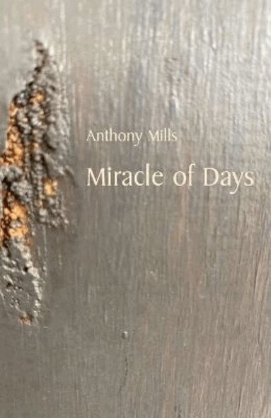 Anthony Mills - Miracle of Days, Häftad