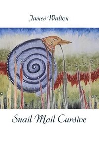 bokomslag Snail Mail Cursive
