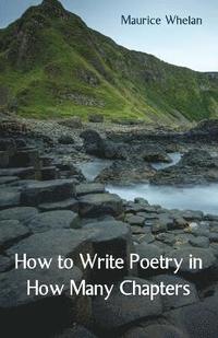 bokomslag How to Write Poetry in How Many Chapters