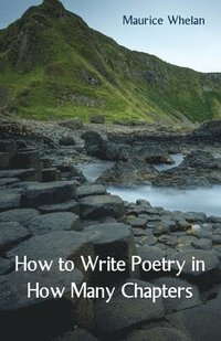 bokomslag How to Write Poetry in How Many Chapters