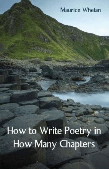 Maurice Whelan - How to Write Poetry in How Many Chapters, Häftad