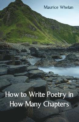 How to Write Poetry in How Many Chapters 1