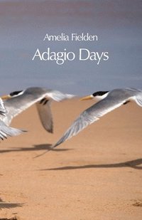 bokomslag Adagio Days