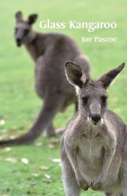 Glass Kangaroo 1