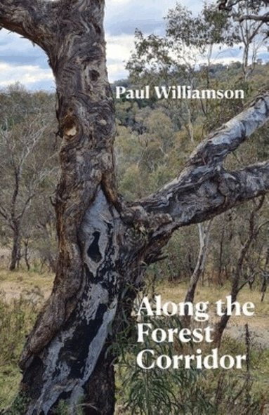 Paul Williamson - Along the Forest Corridor, Häftad