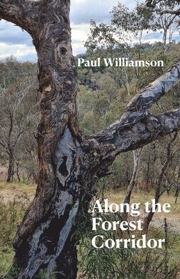 Paul Williamson - Along the Forest Corridor, Häftad