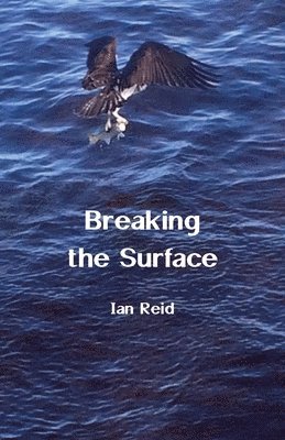 Breaking the Surface 1