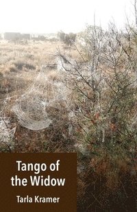 bokomslag Tango of the Widow